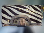 import  ゼブラクラッチBAG　TL-F6-82画像